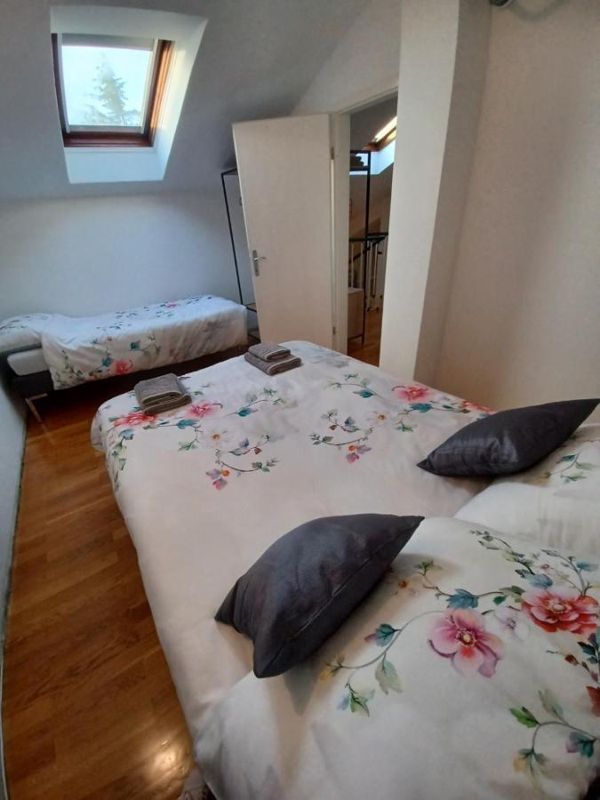 Stunning New Apartment In Centre Of Buzet Esterno foto
