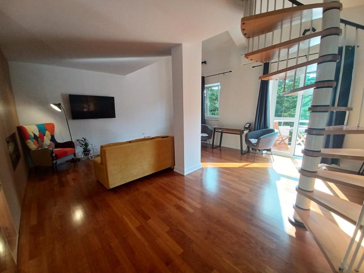 Stunning New Apartment In Centre Of Buzet Esterno foto